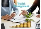 Best Wealth Management Consultants in India