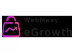 eCommerce Management Platform| Performance Marketing| WebMaxy 