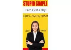 Looking For A Simple Work From Home Opportunity