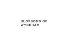 Flowers Wyndham Vale