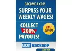 Backup and earn money