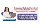 Automatically Builds Your Business