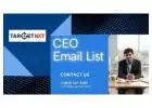 How to find CEO's email address?