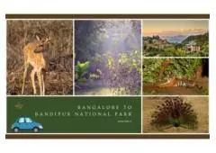Bangalore to Bandipur National Park Cab