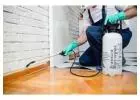 Best Ant Pest Control Service in Melbourne
