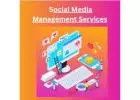 Social Media Management Services | WebMaxy
