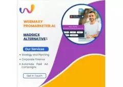   WebMaxy ProMarketer.AI |Madgicx alternative 