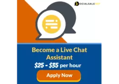 $280 per day - Shopify Chat Assistant (Beginner Job)