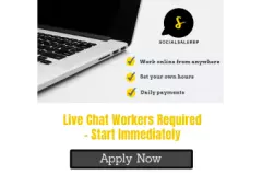 $280 per day - Shopify Chat Assistant (Beginner Job)
