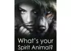 Honoring the Sacred Bond: Seek Spiritual Guidance from Animals Near You【✚２７７２５７７０３７６】