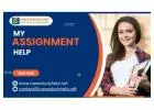 Get Online My Assignment Help from Professional Expert