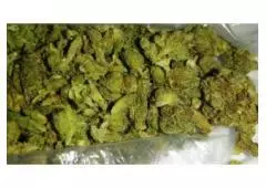 Buy Marijuana Strains and Weed Online WhatsApp +90 534 363 59 03.Buy Marijuana Strains and Weed Onli