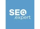 SEO Experts Digital Marketing Institute and Social Media Services
