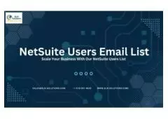 Avail customized NetSuite ERP Users List across USA-UK