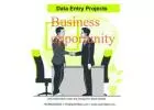 Data Entry Business Opportunity
