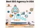 Best SEO Agency in USA - Microflair Technologies