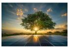Best solar panel manufacturer company in Rajasthan