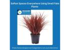 Soften Spaces Everywhere Using Small Fake Plants 