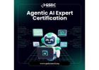 Why Agentic AI Expert Certification Is the Future of AI Careers