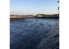 High-Performance HDPE Pondliner for Ponds, Canals & Aquaculture | Macro Sheet