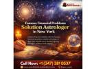 Famous Financial Problems Solution Astrologer in New York