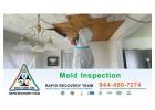 Mold Inspection Experts Florida