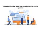 Trusted White Label WordPress Development Partner for Agencies