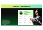 Verified UK Salesforce Users Email List for Sales Growth