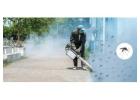 Commercial Pest Control Service in Jaipur – Protect Your Business