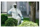 Specialized Pest Control in Food Industry in Jaipur for Hygiene Compliance