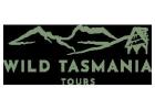 Best Guided Tours Around Tasmania for Nature Lovers
