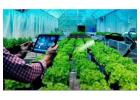 Inventory Management System for Commercial Plant Growers, Greenhouses & Nursery