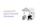 Activating SAP Joule in Your SAP Environment: A Complete Guide