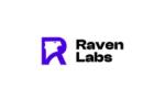Best Erp Systems - Raven Labs 