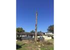 Tree Lopping Sydney | Ben's Tree and Garden Services