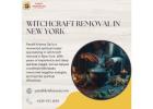 Witchcraft Removal in New York By Pandit Krishna Sai