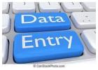 US  Form Filling Project for Typists 7708244092		
