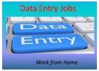 US  Form Filling Project for Typists 7708244092		