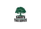 Sonoma County Tree Removal