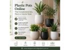 Plastic Pots Online That Complement Any Plant or Interior Style 