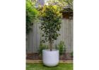 Artificial Bamboo Options That Add Height and Elegance Anywhere