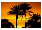Best Services to File a Corporation in Florida Today