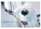 Jaipur Bedbugs Control Services Expert Treatment Safe Expert