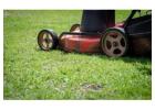 Book Weed Treatment Services for a Cleaner Lawn Today 