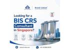 Looking for a BIS CRS Consultant in Singapore?
