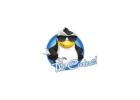 Expert Heat Pump Service Austin TX | The Coolest LLC