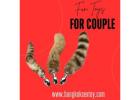 Get Online Sex Toys in Bangkok | bangkoksextoy.com