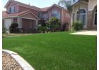 Best Cheap Artificial Grass for Affordable Outdoor Spaces