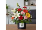  Premium Bloom Box Collection for Memorable Occasions