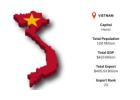  Unlock Vietnam Global Trade Opportunities with Import Globals